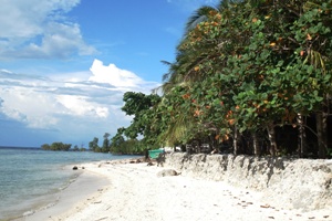 Kiwi Dive Resort Siquijor Beach