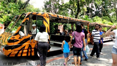 Tram in Singapore Zoo