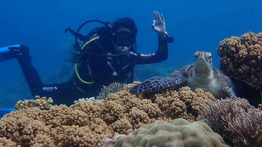 Daisy Diving in Apo Island - Mamsa Point - Turtle