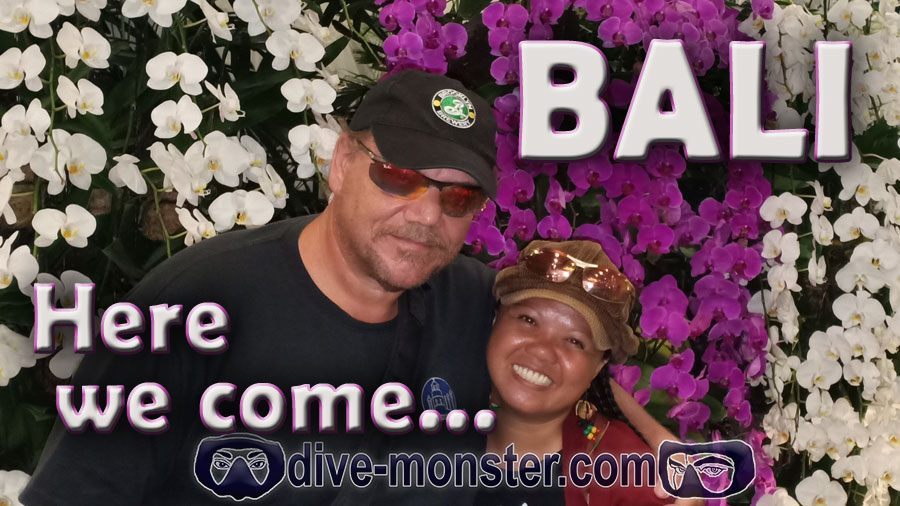 Dive Monster Sr & Mamma Monster on a Vacation in Bali