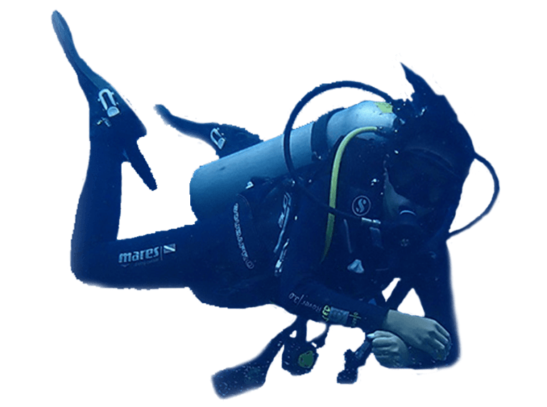 dive monster tour & travel