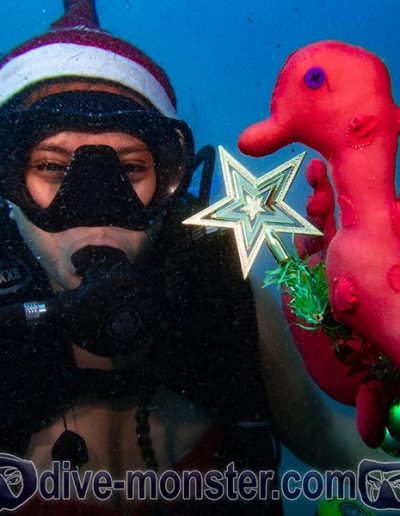 Christmas Dive 2021- Daisy Dive Monster Jr.