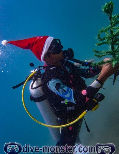 Christmas Dive 2021- Mini Dive Monster