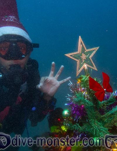 Christmas Dive 2021- Mini Dive Monster McMc