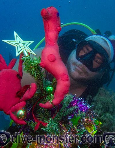 Christmas Dive 2021- Rhoody Dive Monster Sr.