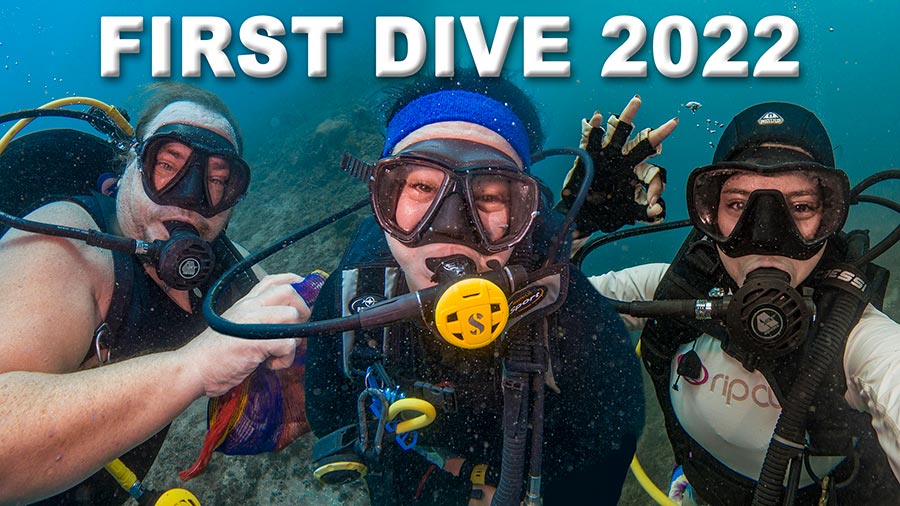 Dive Monster’s First Dive in 2022
